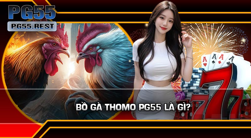 Bồ Gà Thomo PG55 Là Gì?