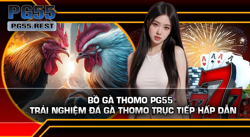 Bồ Gà Thomo PG55 – Trải Nghiệm Đá Gà Thomo Trực Tiếp Hấp Dẫn