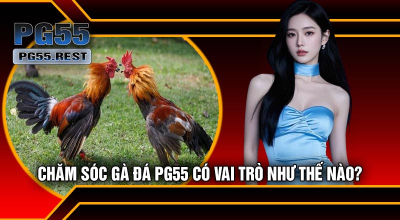 Chăm Sóc Gà Đá PG55 Có Vai Trò Như Thế Nào?