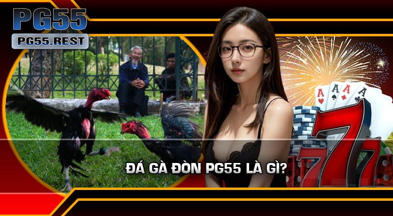 Đá Gà Đòn PG55 Là Gì?