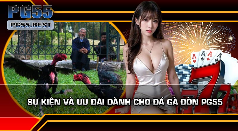 Sự Kiện Và Ưu Đãi Dành Cho Đá Gà Đòn PG55