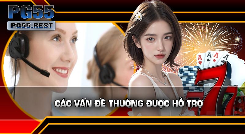 Các vấn đề thường được hỗ trợ