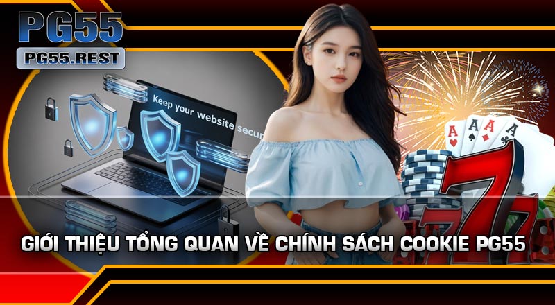Giới thiệu tổng quan về Chính Sách Cookie PG55