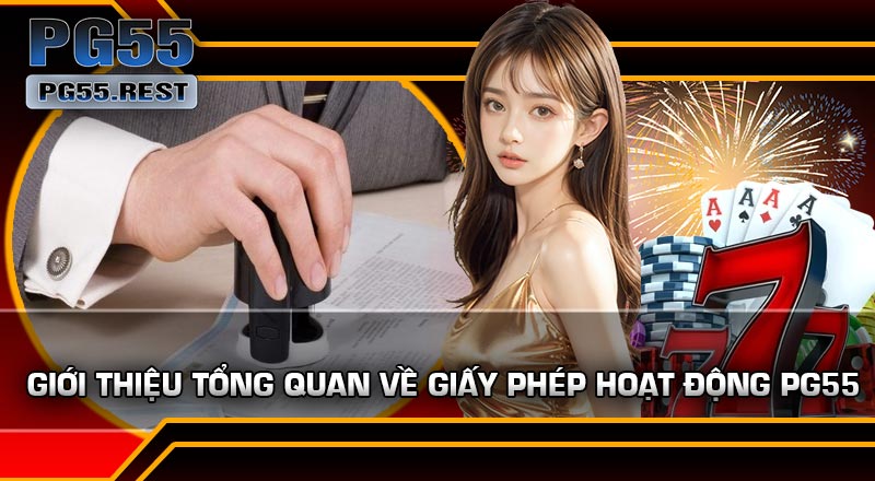 Giới thiệu tổng quan về Giấy Phép Hoạt Động PG55