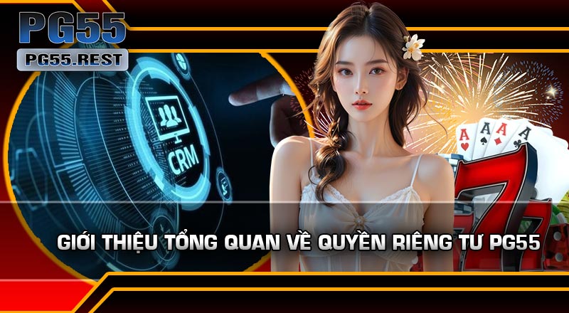 Giới thiệu tổng quan về Quyền Riêng Tư PG55