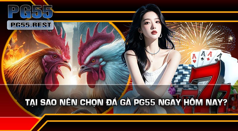Tại Sao Nên Chọn Đá Gà PG55 Ngay Hôm Nay?